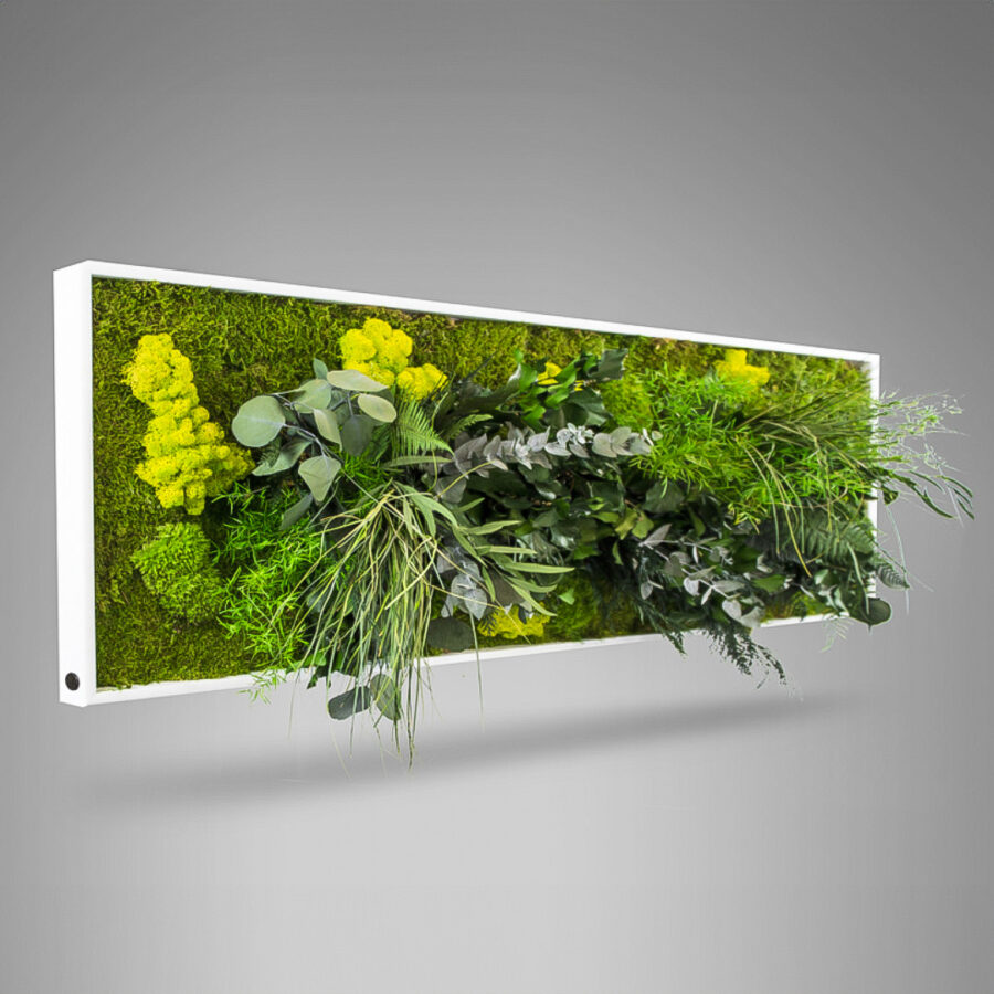 Quadro Muschio Stabilizzato 30x30cm - Cuore Naturale, Zero Manutenzione, Purifica Aria - Foto 12