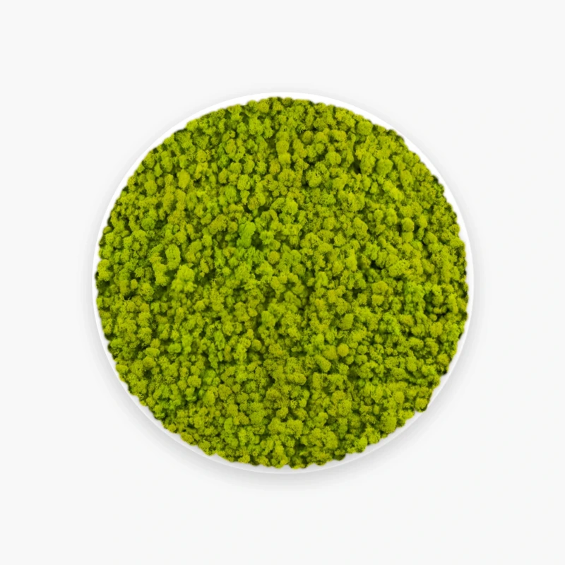 Cerchio