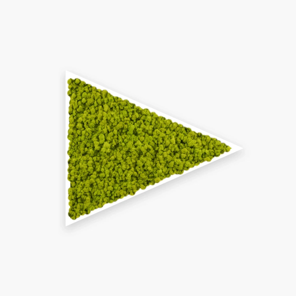 Triangolo