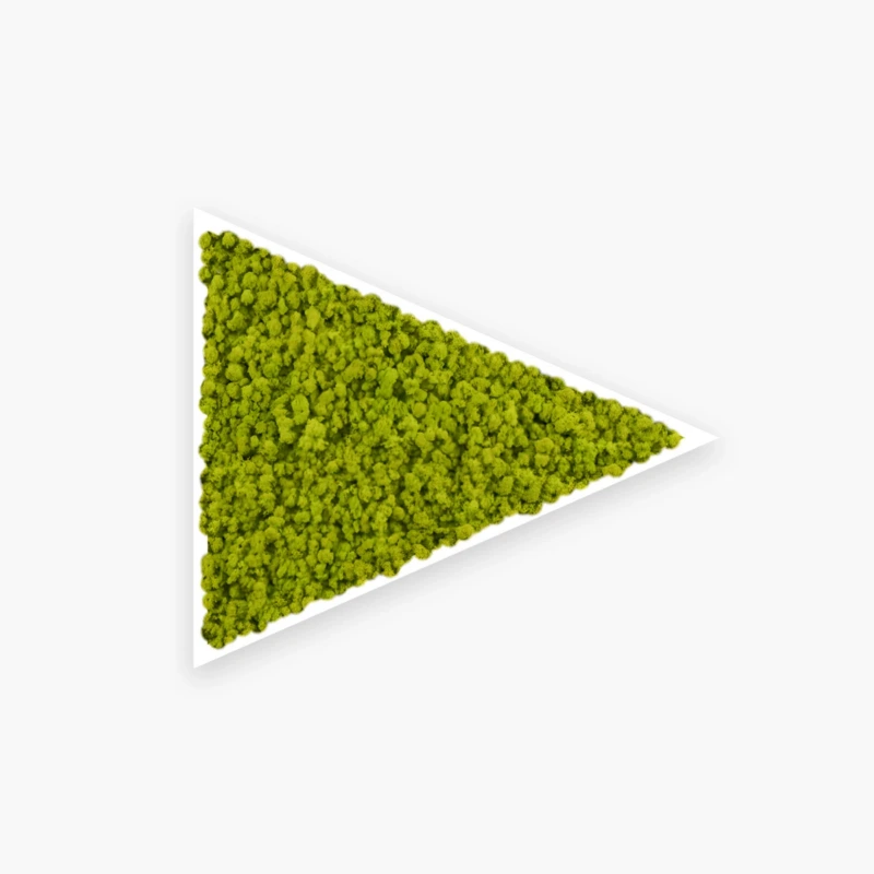 Triangolo