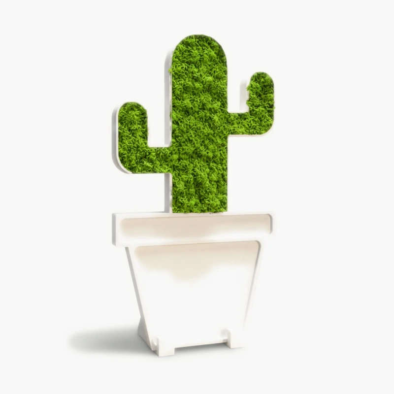 Cactus Vivace
